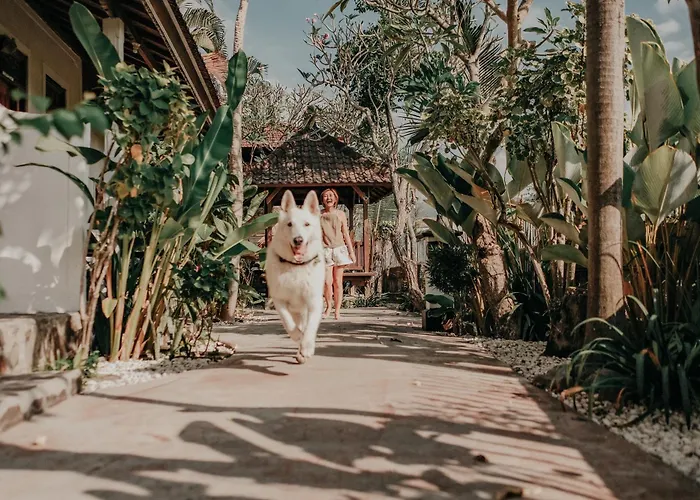 Rumi Bumi Lovina - A Home For Unhurried Days